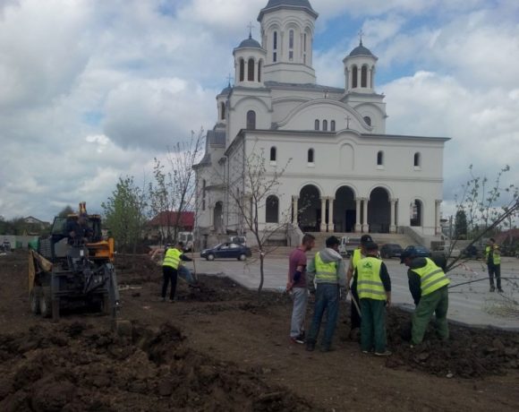 Amenajare spatiu verde Catedrala Voluntari