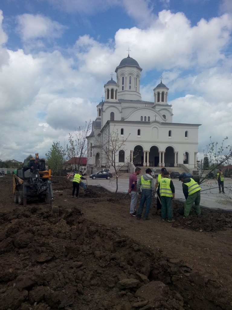 Amenajare spatiu verde Catedrala Voluntari