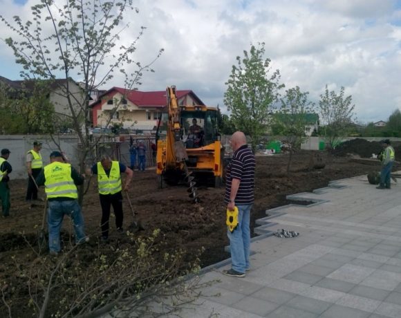 Amenajare spatiu verde Catedrala Voluntari