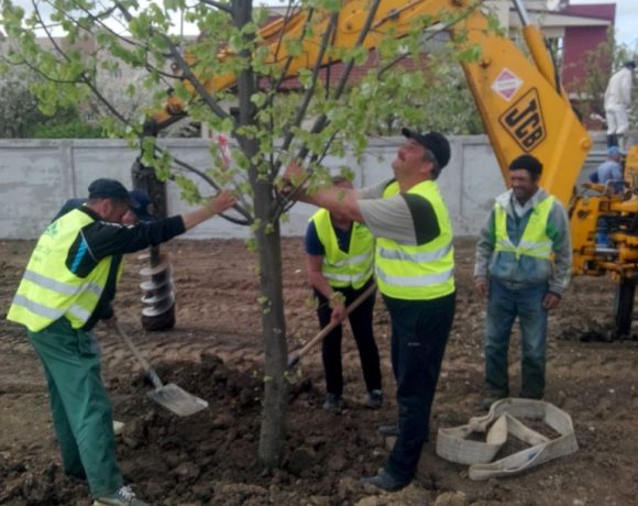 Amenajare spatiu verde Catedrala Voluntari