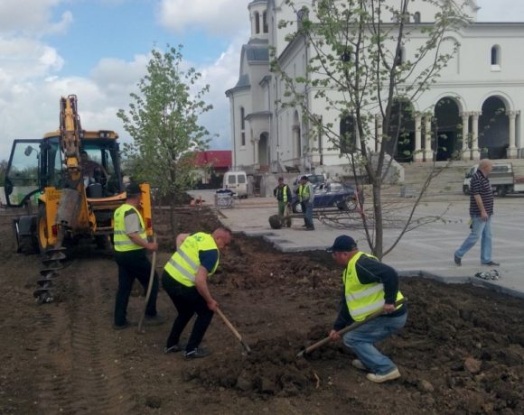Amenajare spatiu verde Catedrala Voluntari