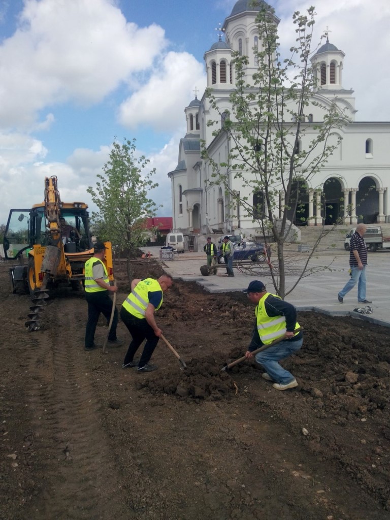 Amenajare spatiu verde Catedrala Voluntari