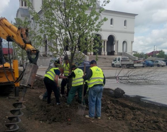 Amenajare spatiu verde Catedrala Voluntari