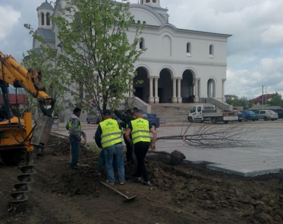 Amenajare spatiu verde Catedrala Voluntari