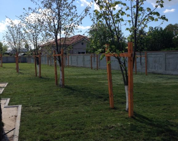 Amenajare spatiu verde Catedrala Voluntari