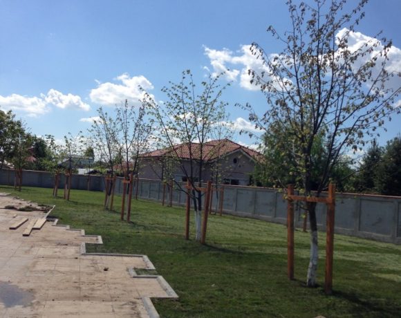 Amenajare spatiu verde Catedrala Voluntari