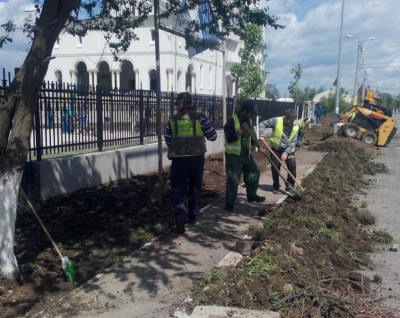 Amenajare spatiu verde Catedrala Voluntari