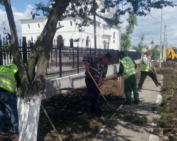 Amenajare spatiu verde Catedrala Voluntari