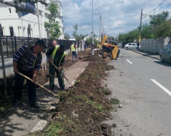 Amenajare spatiu verde Catedrala Voluntari