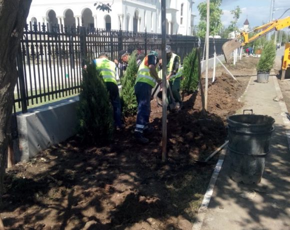 Amenajare spatiu verde Catedrala Voluntari