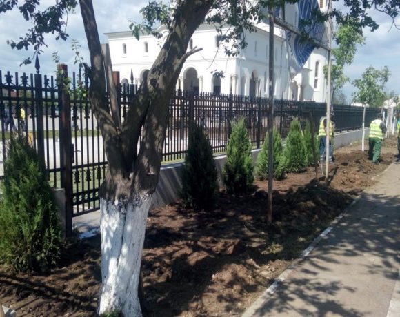 Amenajare spatiu verde Catedrala Voluntari