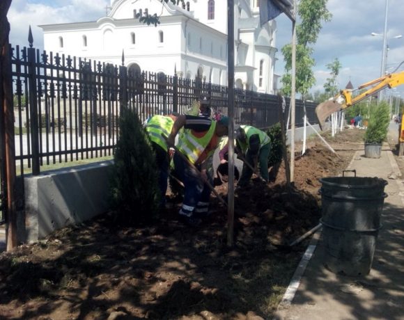 Amenajare spatiu verde Catedrala Voluntari