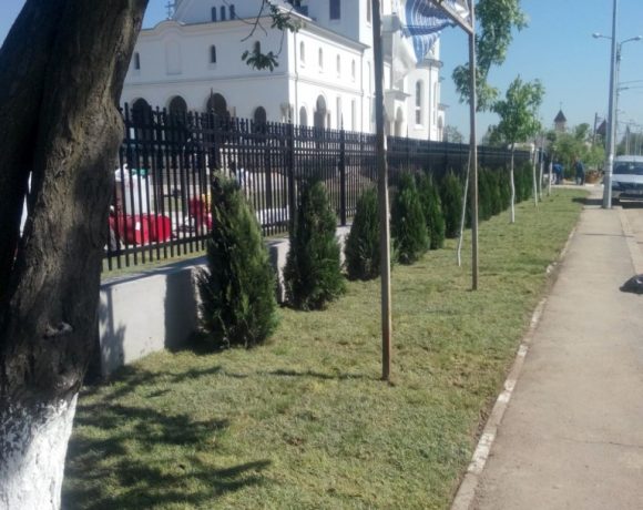 Amenajare spatiu verde Catedrala Voluntari