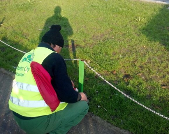 Amenajare spatiu verde B-dul Voluntari
