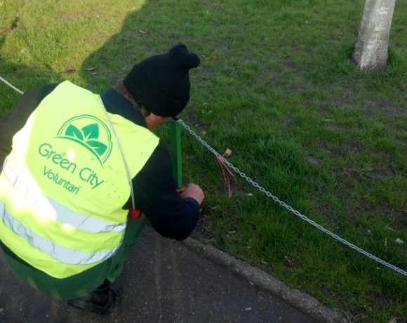 Amenajare spatiu verde B-dul Voluntari