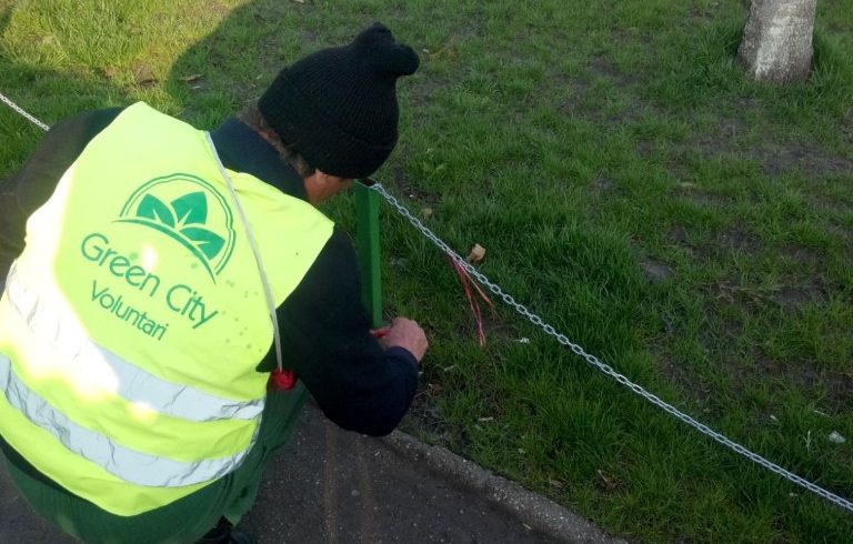 Amenajare spatiu verde B-dul Voluntari