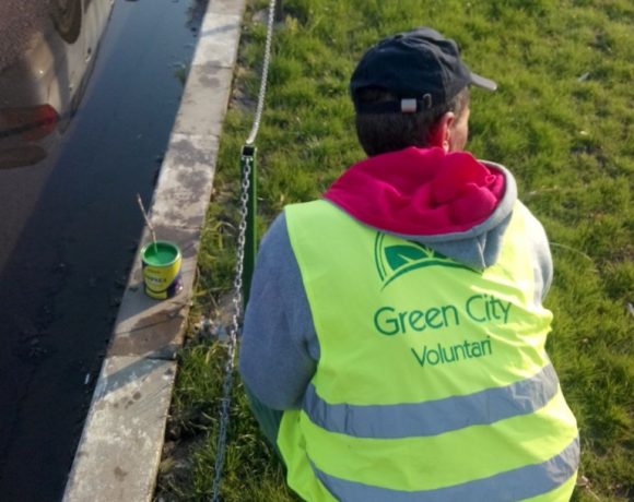 Amenajare spatiu verde B-dul Voluntari