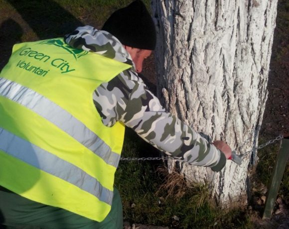 Amenajare spatiu verde B-dul Voluntari