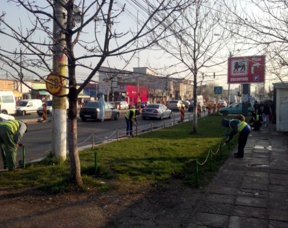 Amenajare spatiu verde B-dul Voluntari