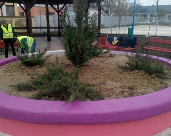 Negro Pontes 1