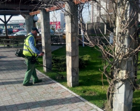 Lucrari intretinere spatiu verde Parc Primaria Voluntari