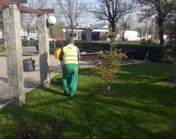 Lucrari intretinere spatiu verde Parc Primaria Voluntari