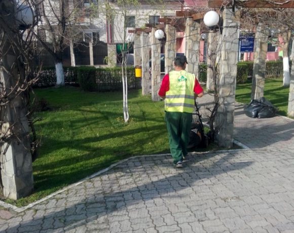 Lucrari intretinere spatiu verde Parc Primaria Voluntari