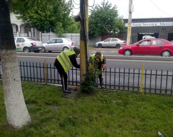 Lucrari intretinere spatiu verde Parc Primaria Voluntari